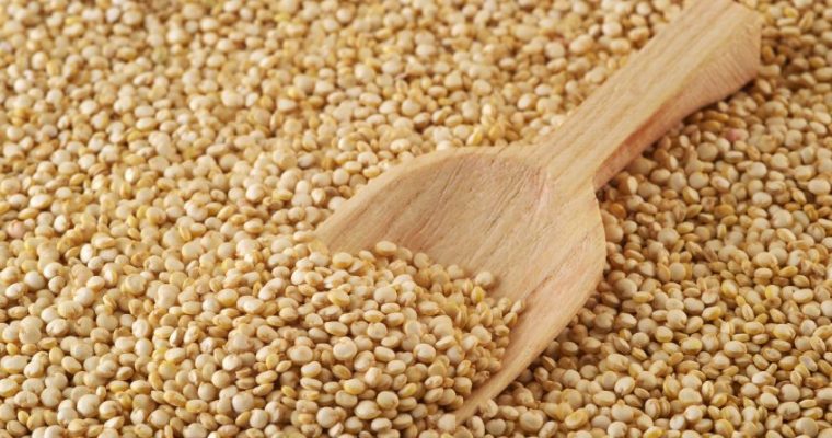 Que es la quinoa y como prepararla